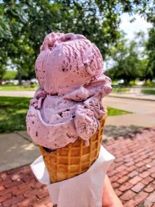 Double Scoop of Purple Price Ice Cream