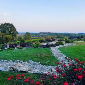 Views of the vineyards and the Flint Hills at Liquid Art Winery and Estate