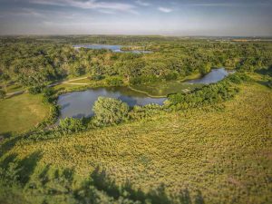 Aerial view of serene lakes surrounded by lush greenery