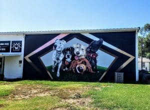 rescue dog mural in Clay Center, KS