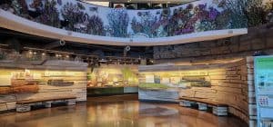 A museum with a large display of plants and animals.