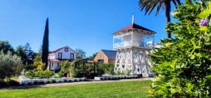 A garden with a water tower and palm trees.