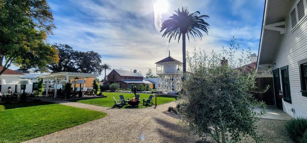 A house with a palm tree in front of it.