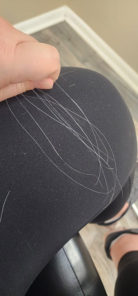 A close-up of a person's hand holding several strands of gray hair against their black leggings, possibly contemplating the next cut. The person's legs are crossed, and the background shows a portion of a hardwood floor and a beige wall.