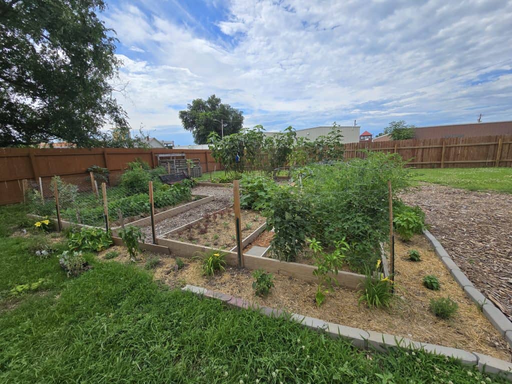 A backyard garden in Manhattan, KS features multiple raised beds with various green plants such as tomatoes, peppers, and leafy vegetables. Enclosed by a wooden fence and under a partly cloudy sky, the mulched pathways separate the garden beds to be able to stroll through with ease.