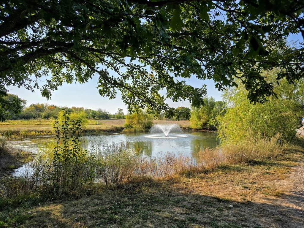 A small pond in Kansas City is surrounded by trees and grass in a park, with a fountain at its center. Sunlight filters through the leaves, casting dappled shadows on the water and ground. The peaceful scene feels as serene as a visit to Cider Hill Family Orchard.