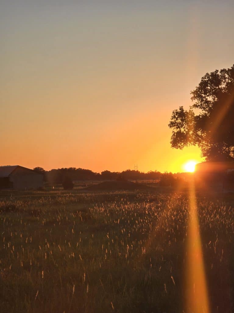 Sunset over a rural field casts a warm orange glow across the landscape. A large tree on the right partially obscures the sun, and a few scattered buildings are visible in the distance—one of life’s top 10 things that remind us to appreciate each moment.