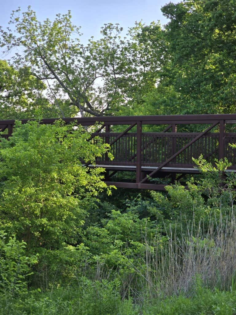 A metal pedestrian bridge at Frank Anneberg Park in Manhattan, KS, surrounded by lush green trees and dense shrubs on a sunny day, partially obscured by the vegetation in the foreground.